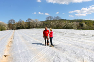 Auch Erdbeerfelder gehören zur "Erdbeer-Ranch"