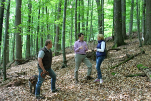 Waldbegehung im Rothenbucher Forst