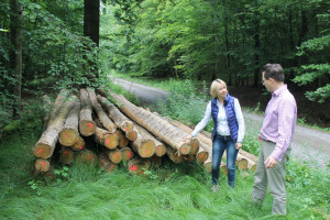 Waldbegehung im Rothenbucher Forst